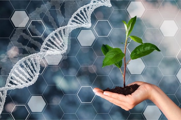 ژنتیک و به‌نژادی گیاهی